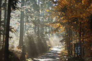 Fotoaktywni 10